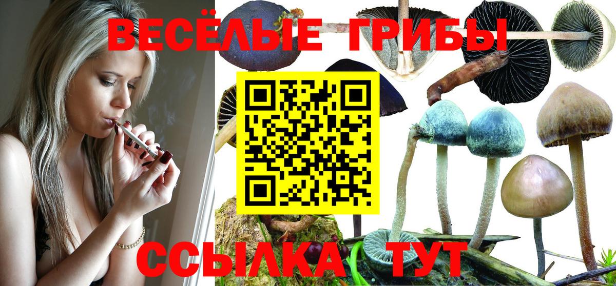 Купить наркотик  МЕФ кристаллы  MDMA  Вход с VPN  Бошки Шишки  Чайковский  A PVP СОЛЬ кристаллы 